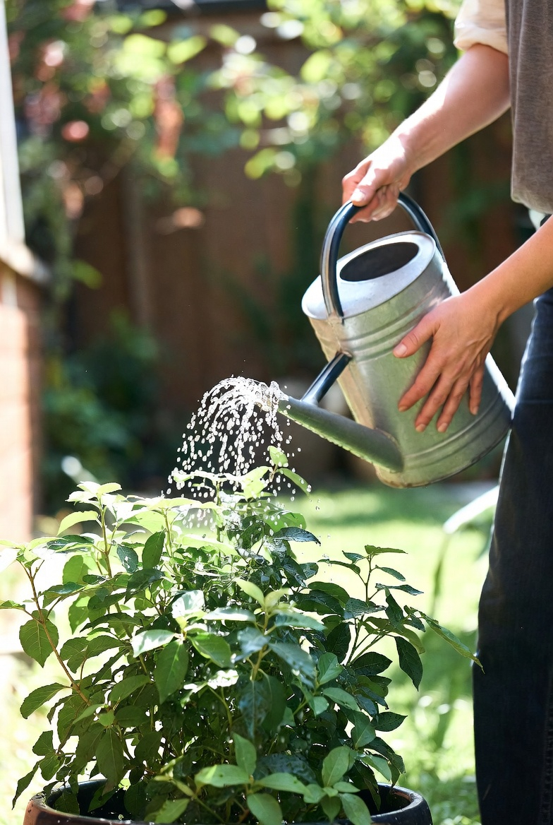 Questions and Next Steps