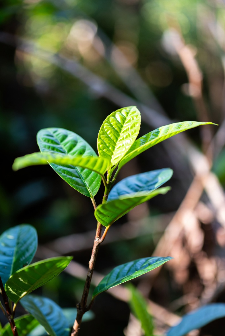 Start the Conversation